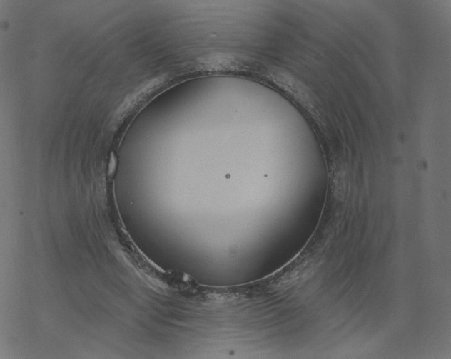 X0000077400442200611032030