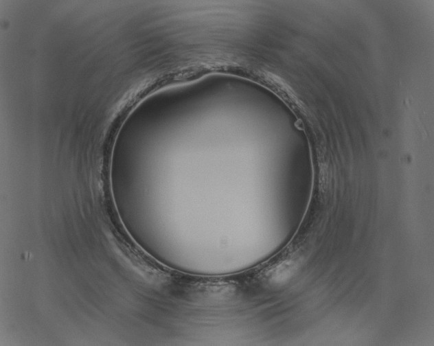 X0000077400443200611032030