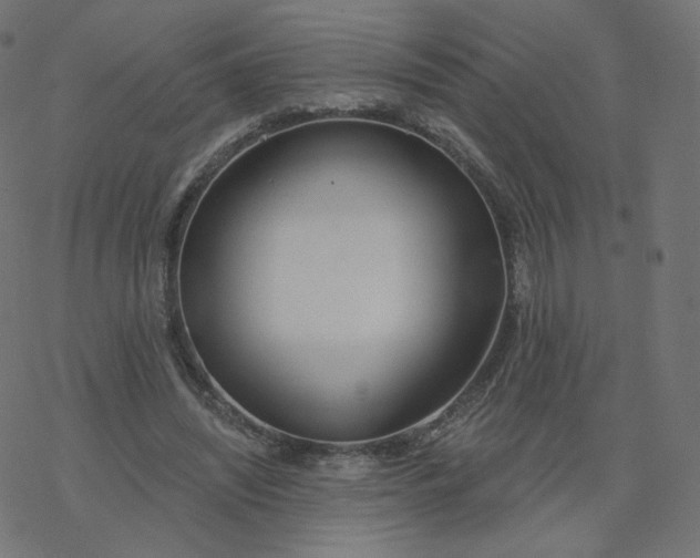 X0000077400444200611032030