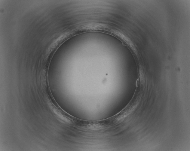 X0000077400445200611032030