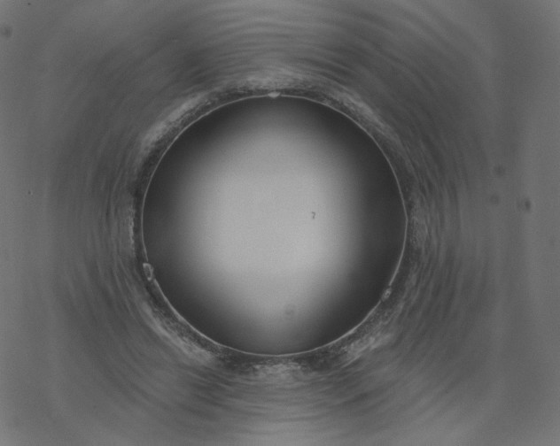 X0000077400446200611032030