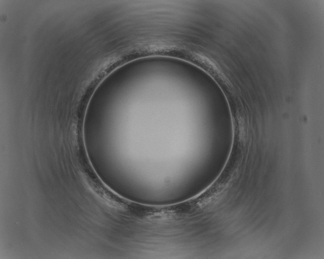 X0000077400447200611032030