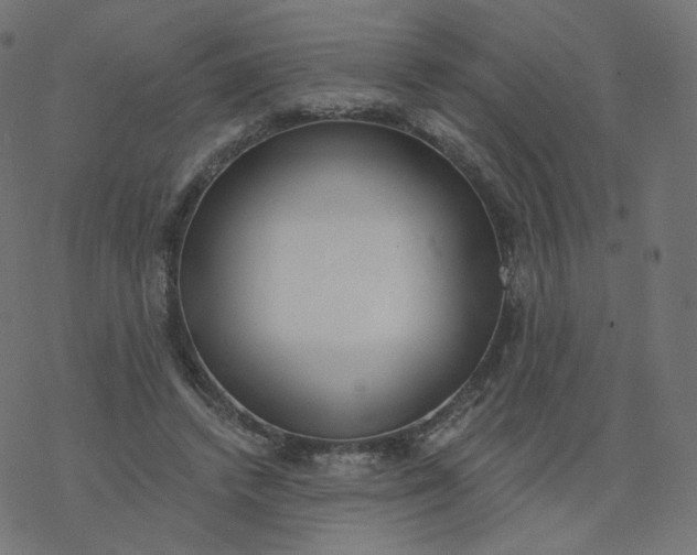 X0000077400448200611032030