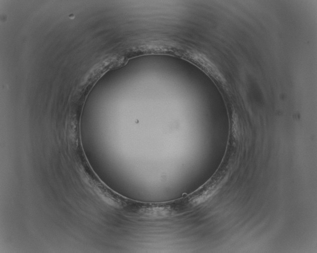 X0000077400449200611032031