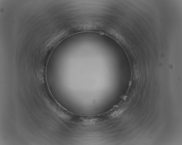 X0000077400450200611032031