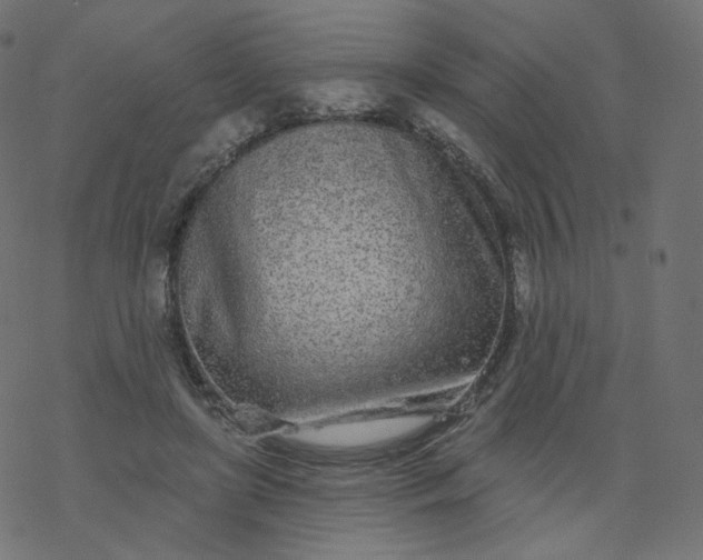 X0000077400451200611032031