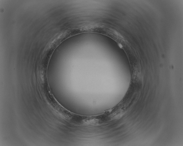 X0000077400452200611032031