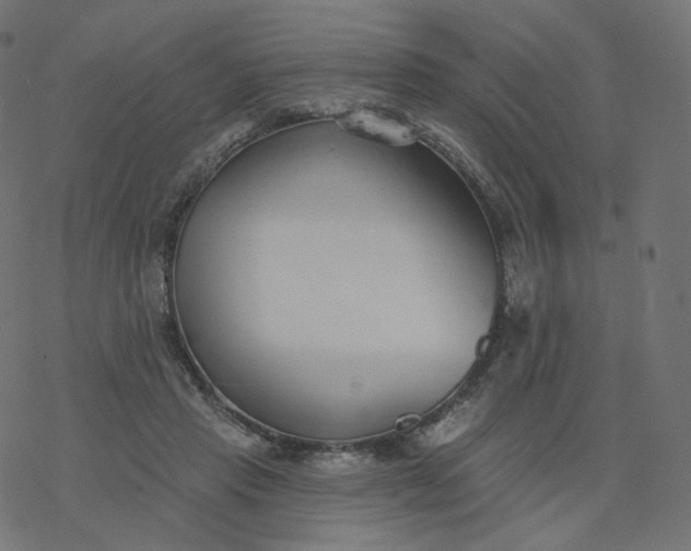 X0000077400453200611032031