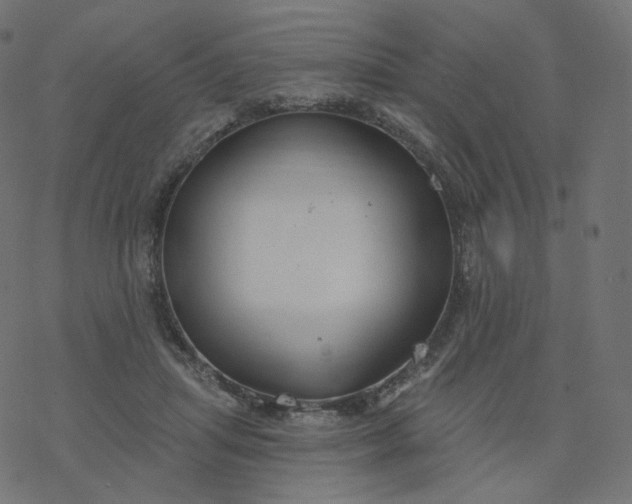 X0000077400455200611032031