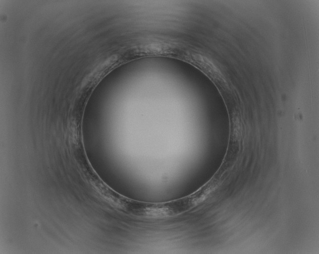 X0000077400457200611032031