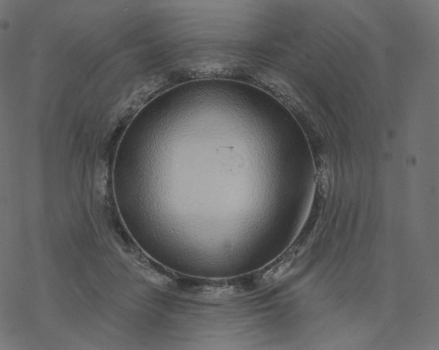 X0000077400458200611032031