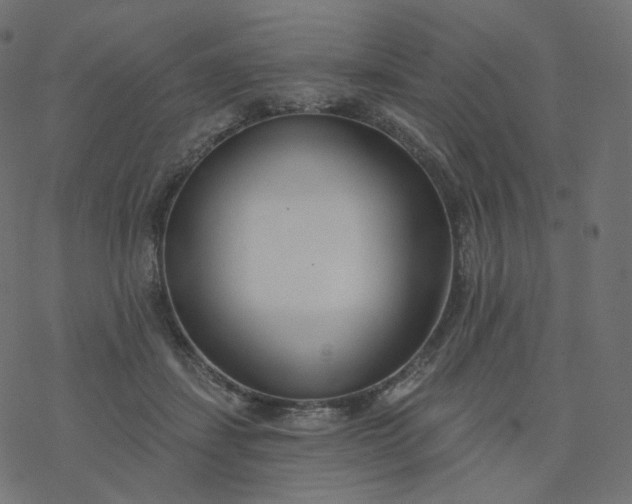 X0000077400459200611032031