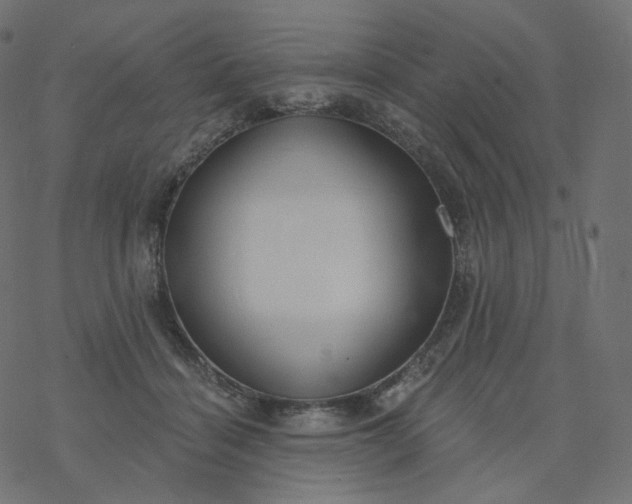 X0000077400460200611032031