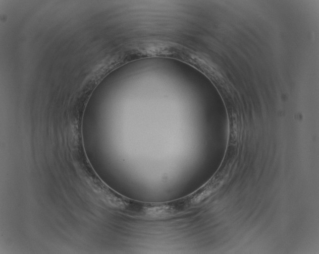 X0000077400461200611032031