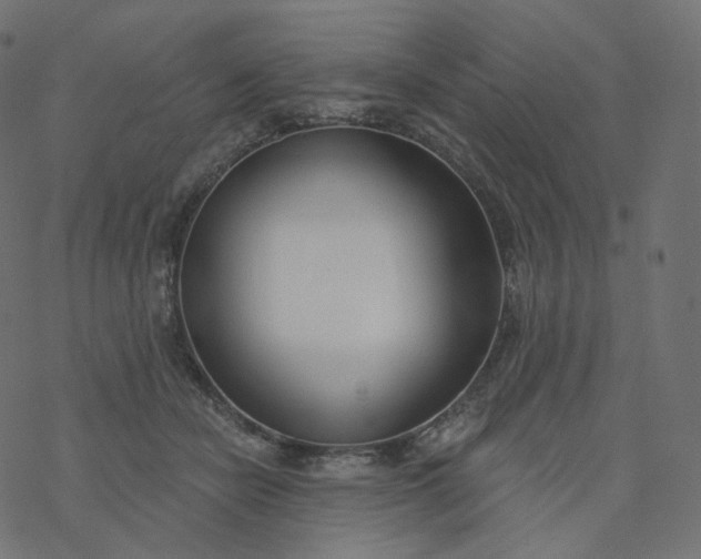 X0000077400462200611032031