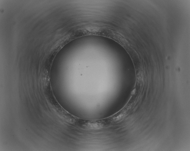 X0000077400464200611032031