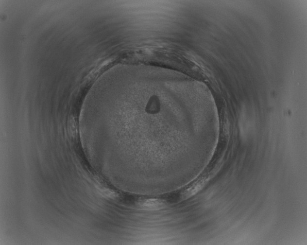 X0000077400467200611032031