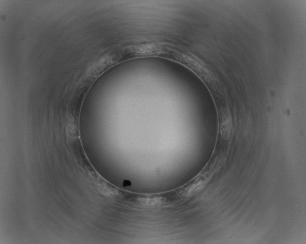 X0000077400469200611032031