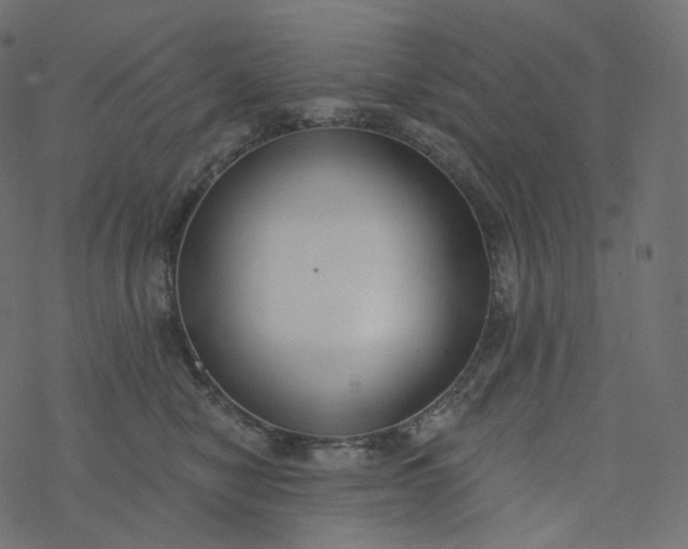 X0000077400470200611032031