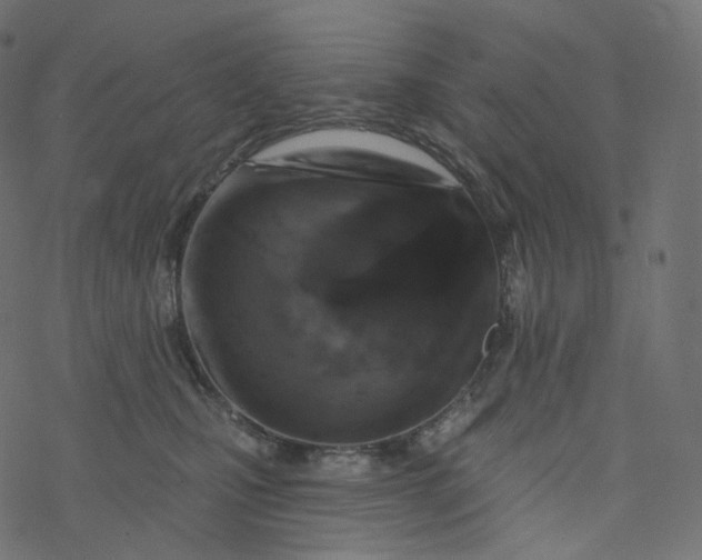 X0000077400471200611032031