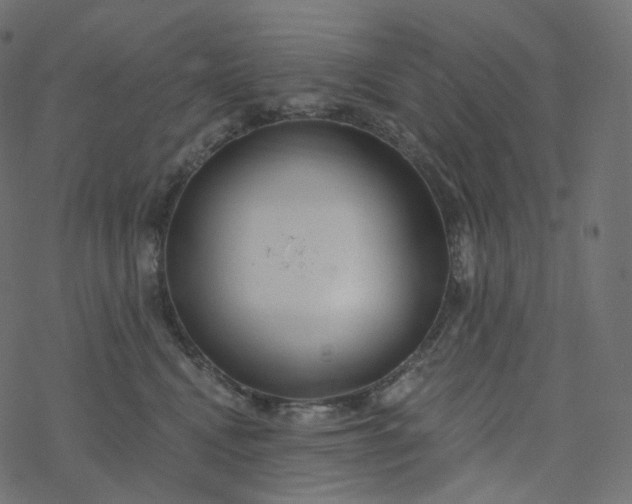 X0000077400472200611032031