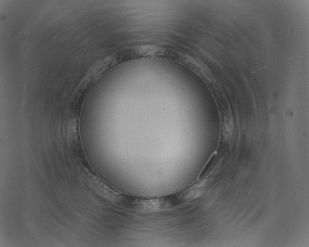 X0000077400473200611032031