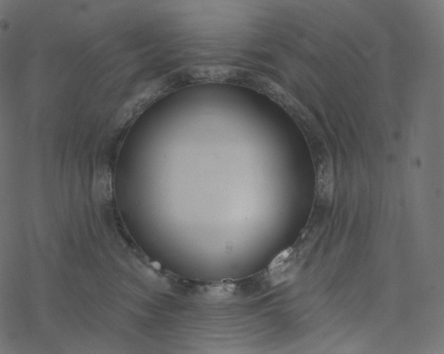 X0000077400474200611032031