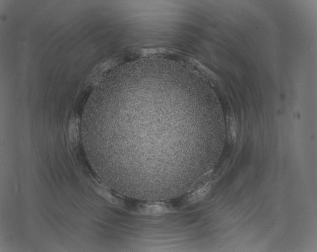 X0000077400475200611032031