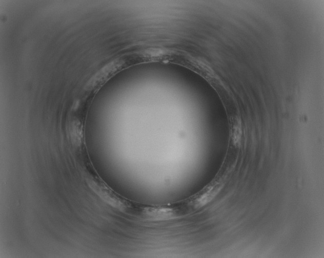 X0000077400476200611032031