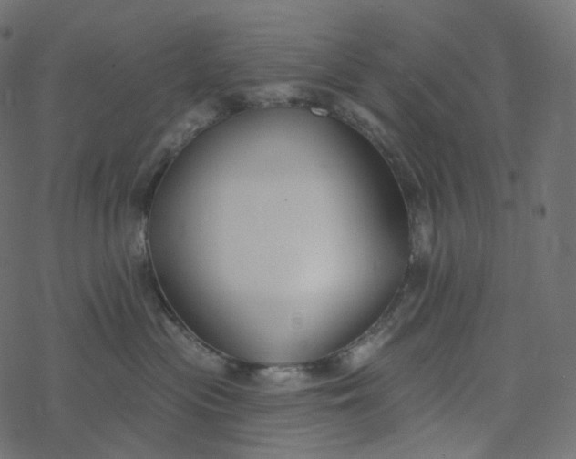 X0000077400477200611032031