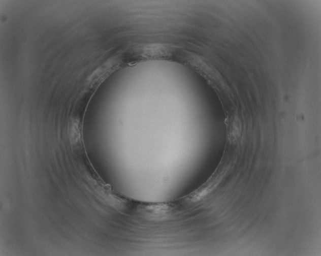 X0000077400478200611032031