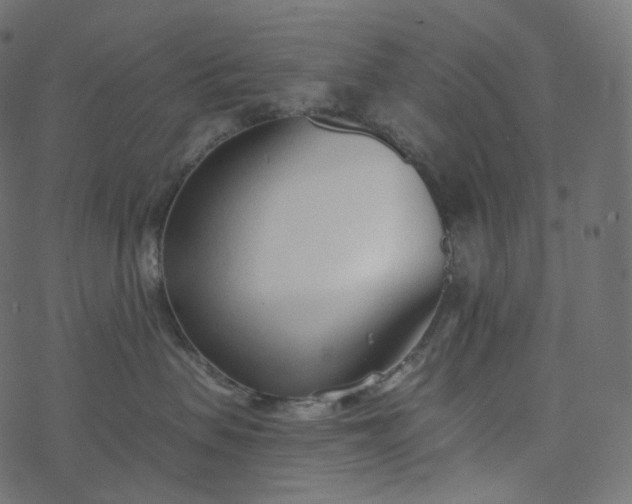 X0000077400479200611032031