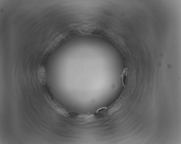 X0000077400480200611032031