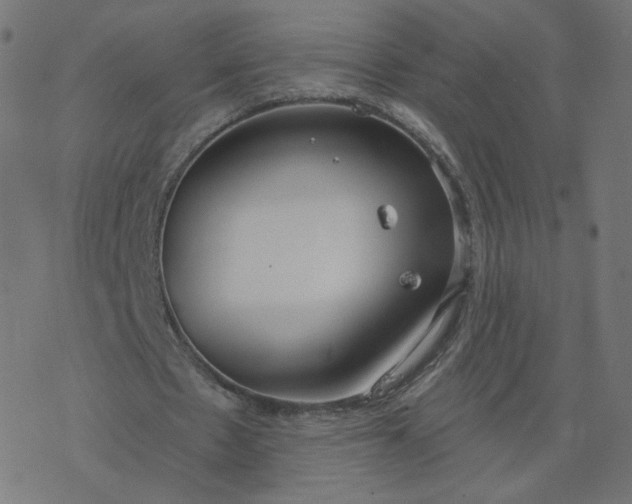 X0000077400481200611032030