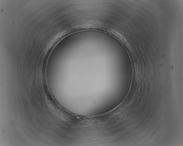 X0000077400482200611032030