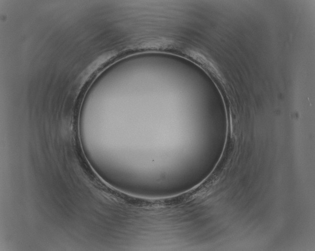 X0000077400483200611032030