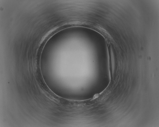 X0000077400484200611032030