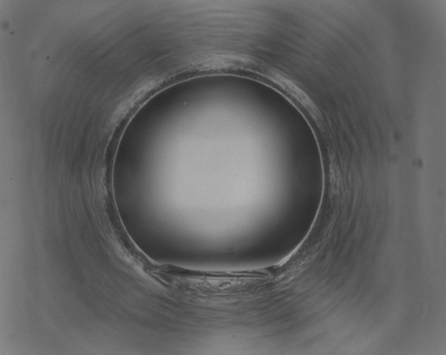 X0000077400485200611032030