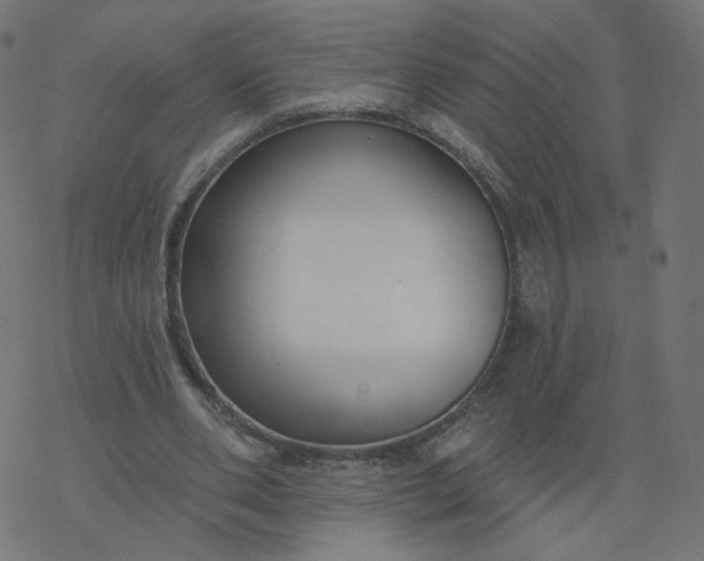 X0000077400486200611032030