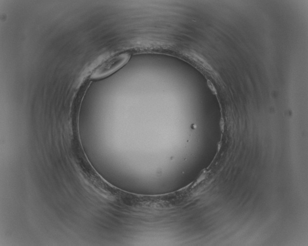 X0000077400488200611032030