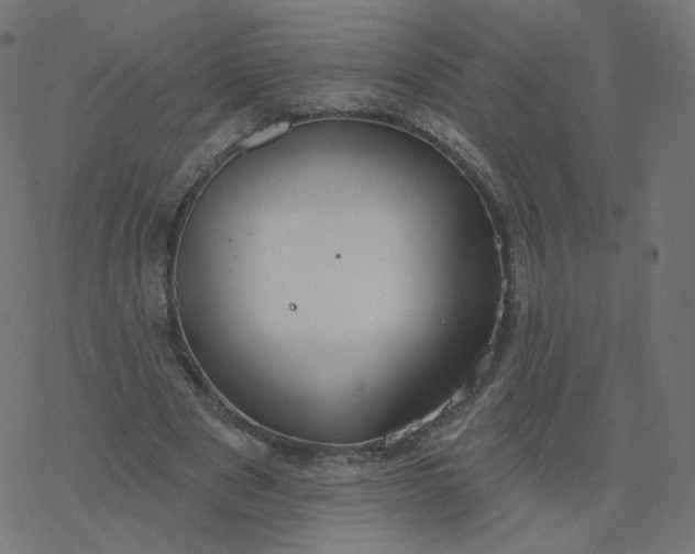 X0000077400489200611032030