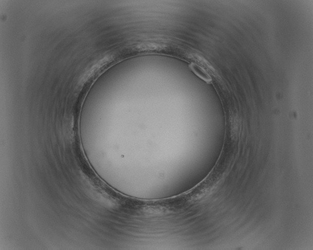 X0000077400490200611032030