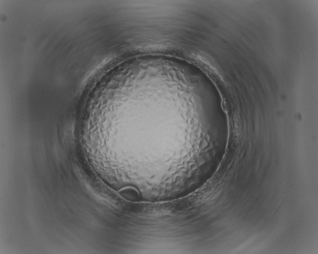 X0000077400491200611032030