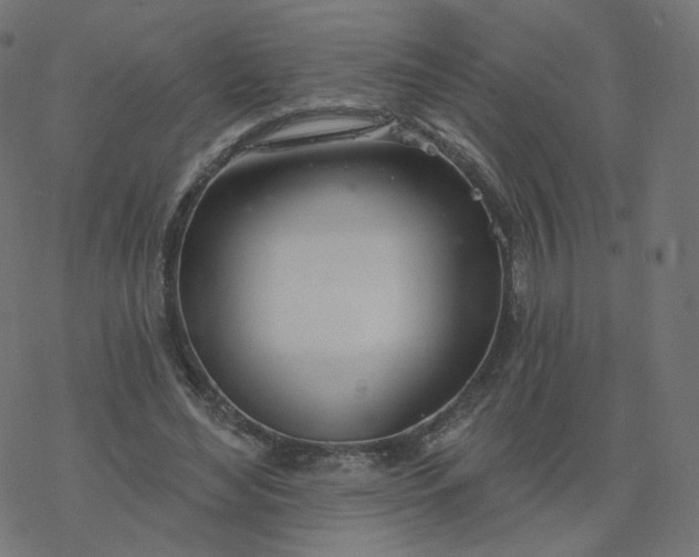 X0000077400492200611032030