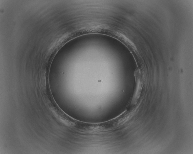 X0000077400493200611032030