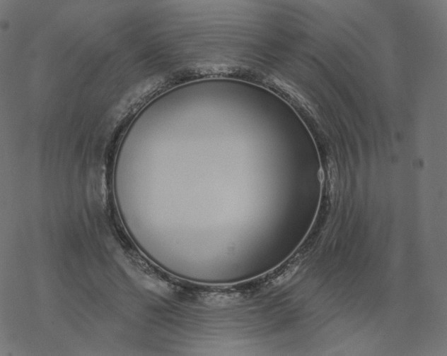 X0000077400494200611032030