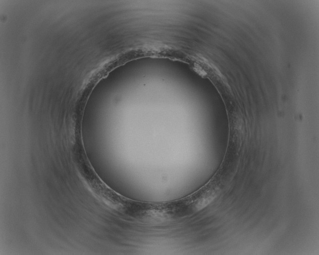 X0000077400496200611032030