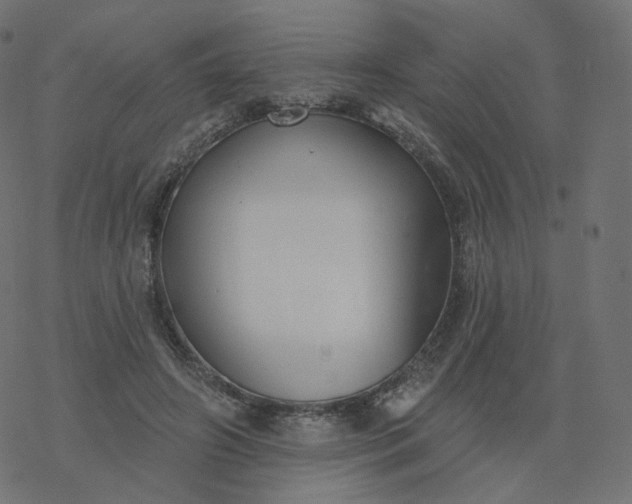 X0000077400498200611032030