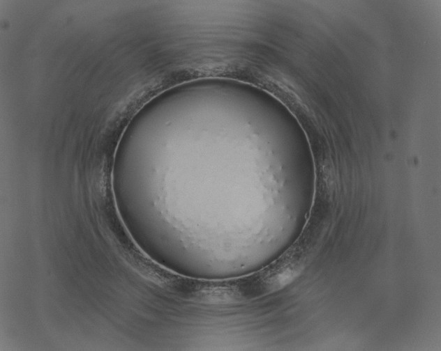 X0000077400499200611032030