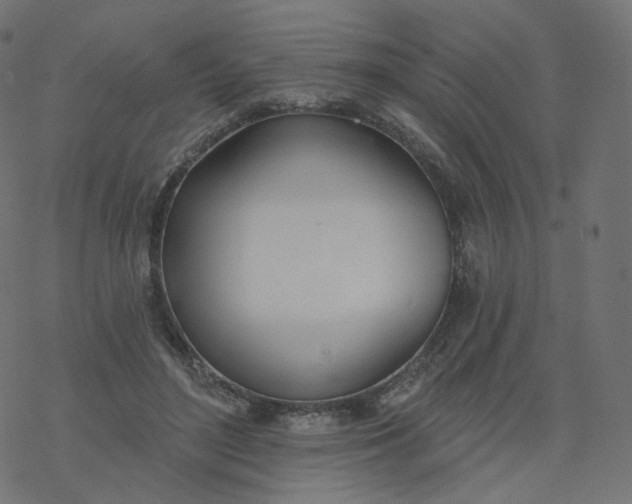 X0000077400500200611032030